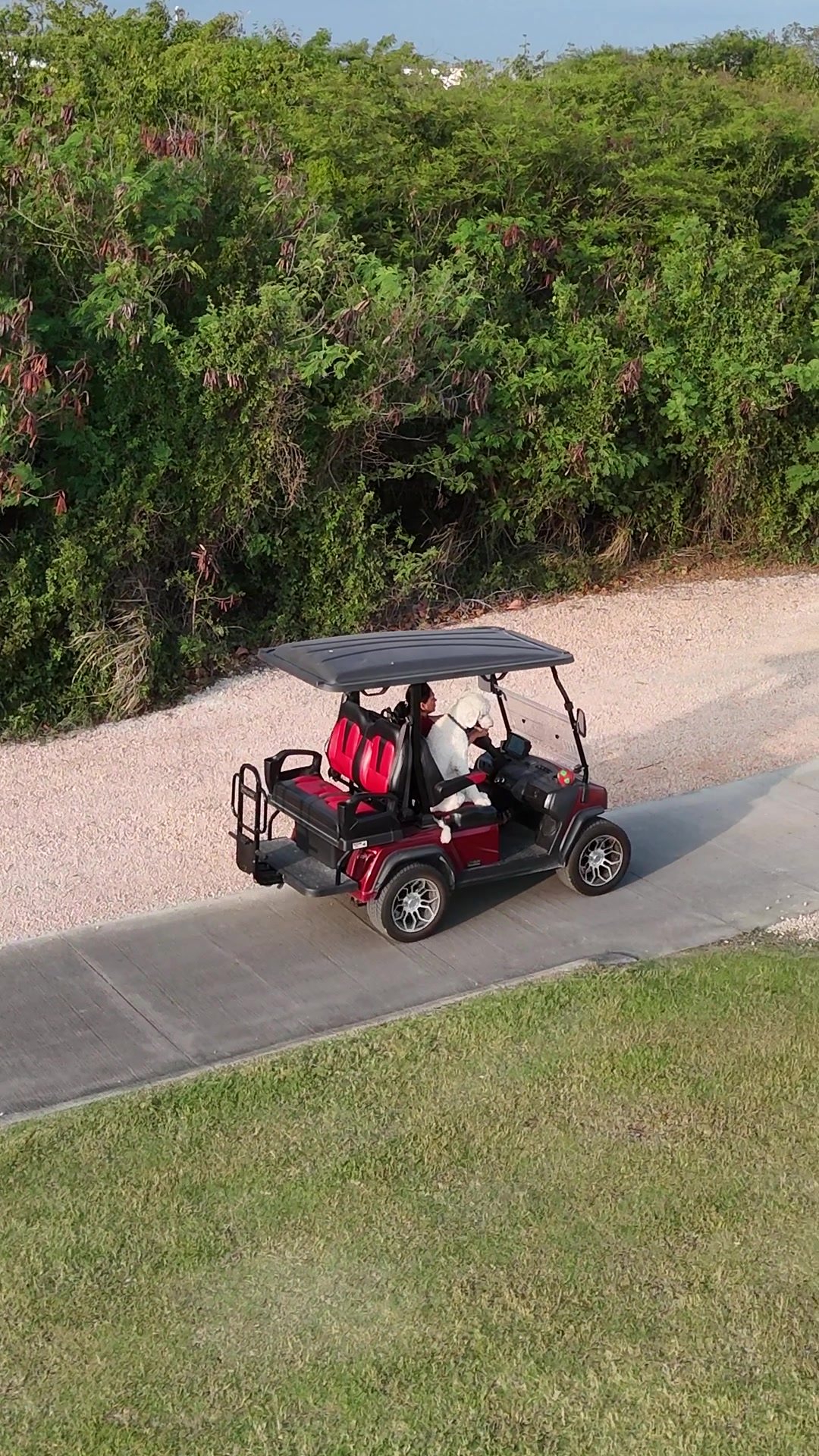 Golf experience in Playa Nueva Romana, 10-day format